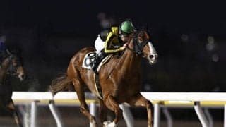 【船橋・東京湾C枠順】4連勝中のジュンハーベストは8枠8番