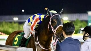 【かしわ記念】松下師「さきたま杯を目指します」シャマルが連覇達成