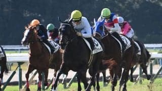 【京都新聞杯展望】好走データに当てはまるショウヘイが中心