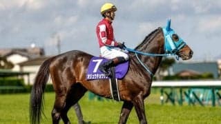 障害に強い血としても注目される「ミルジョージ」