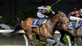 【名古屋グランプリ注目馬】ゴールデンウィークを締めくくるダートグレード重賞 中央・地方から12頭集結