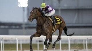 【名古屋グランプリ】サンライズジパングが重賞3勝目…高知シンメデージーは2着