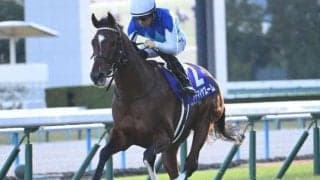 【NHKマイルC予想オッズ】アドマイヤズームが予想1番人気