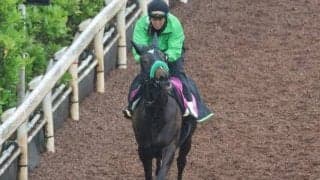 エリカエクスプレスなど、先週の入厩情報/栗東トレセンニュース