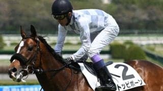 【京都新聞杯予想オッズ】トッピボーンが予想1番人気