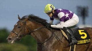 連休の熱気が後押し！名古屋グランプリ、売得金レコード更新で大盛況…サンライズジパングがV