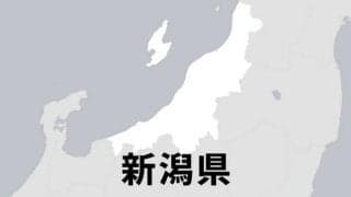8強の顔ぶれ決まる　春季高校野球新潟県大会