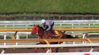 シランケド、ヴィクトリアM1週前追い切り速報/栗東トレセンニュース