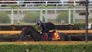 クイーンズウォークなど、ヴィクトリアM1週前追い切り速報/栗東トレセンニュース