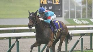 【オークス想定】エンブロイダリーやアルマヴェローチェなど16頭