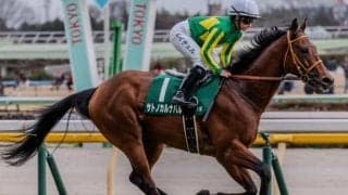 レース史上最高馬体重Vなるか NHKマイルCに巨漢の2頭が参戦