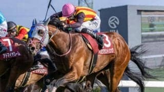 辻哲英調教師がJRA平地GI初挑戦初制覇へ 重賞馬でNHKマイルCに参戦