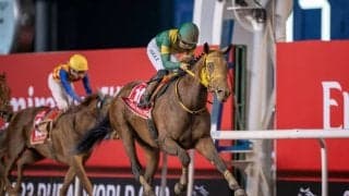 ウシュバテソーロの競走馬登録抹消…ドバイワールドカップをV