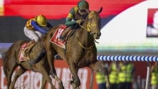 ウシュバテソーロが登録抹消＆種牡馬入り 総獲得賞金26億131万1100円で歴代1位