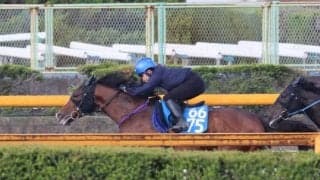 ウエストナウ、新潟大賞典1週前追い切り速報/栗東トレセンニュース