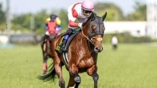 【エプソムC出走馬・騎手確定】ダノンエアズロック＆D.レーン騎手、シュトラウス＆北村宏司騎手など18頭