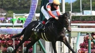 【京都新聞杯出走馬・騎手確定】エムズ＆松山弘平騎手、キングスコール＆坂井瑠星騎手など10頭