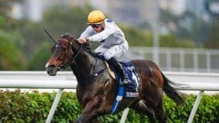 5月10日から香G1・10勝ゴールデンシックスティの見学開始 ノーザンホースパークが公式Xで発表