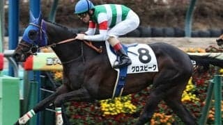 エアグルーヴ一族の良血馬 グロスビークがC.ルメール騎手で連勝なるか