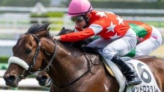 【三国特別】ルーキーの舟山瑠泉騎手 レッドロスタムで特別初騎乗初勝利なるか
