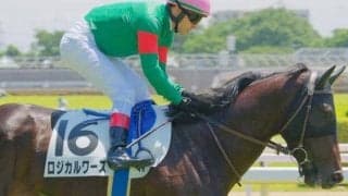 JRAの現役は僅か2頭 ニューアプローチ産駒のロジカルワーズ初勝利なるか