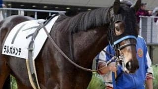 半兄は香港G1・2勝のグローリーヴェイズ ラルガメンテが初勝利狙う