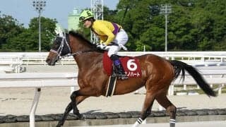 地元のキミノハートが主導権を握って逃げ切りV！吉見真幸調教師＆田野豊三騎手のコンビでうれしい重賞初制覇