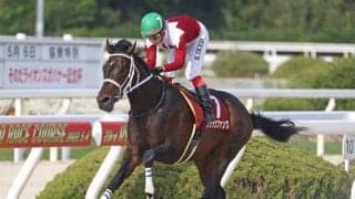 22年兵庫CS覇者ブリッツファングが登録抹消 地方・門別に移籍予定