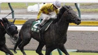 エプソムCは道悪必至 古豪カラテの大激変があるかも