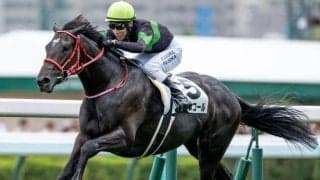 【京都新聞杯予想】前走4角での位置取りが好走の鍵！ 前走で後方からの競馬を経験している馬は割引が必要
