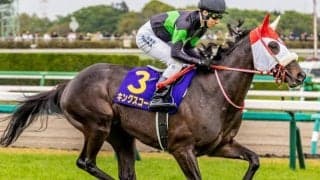 雨の京都新聞杯はキングスコールが軸 道悪経験が強みだ