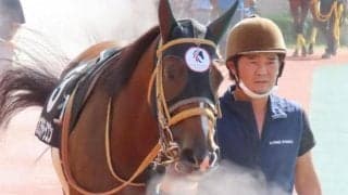 道悪の直線競馬は圧倒的に8枠有利 カフジテトラゴンの押し切りだ