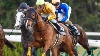 【烏丸S】現級で2着7回 シェイクユアハートが待望のオープン入りなるか