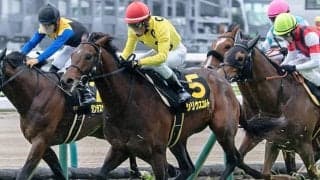 【新潟大賞典想定馬・騎手】シリウスコルト、ショウナンアデイブなど24頭