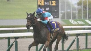 【オークス想定馬・騎手】エンブロイダリー、アルマヴェローチェなど20頭