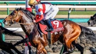 【エプソムC】セレクト4.5億円のダノンエアズロック 史上最高額のJRA重賞勝ち馬になるか