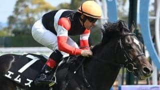 【今日の注目ポイント】京都で京都新聞杯と東京でエプソムC