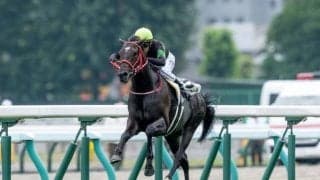 【京都新聞杯予想】ダービーへの東上最終便 末脚確かな馬を狙うのがベター