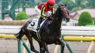 半兄に日本ダービー馬と皐月賞馬 シャハザマーンが2勝目なるか