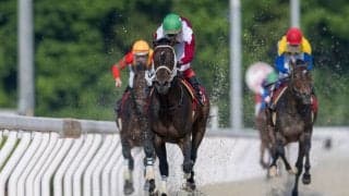 ブリッツファングの競走馬登録抹消…門別へ移籍予定