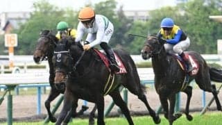 【京都新聞杯結果】ショウヘイが2馬身半差の完勝で重賞初制覇