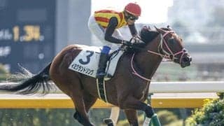 【NHKマイルC予想】前走で大舞台を経験している馬が主役!? ニュージーランドT組の取り扱いには要注意