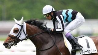 【京都7R】武豊レディーヴァリューが人気に応える