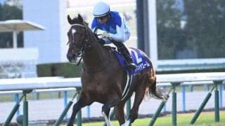 【NHKマイルC前日オッズ】アドマイヤズームが2.6倍で1番人気