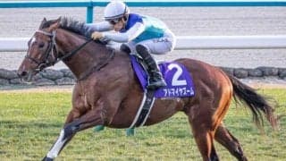 東京芝は脚質不問 アドマイヤズームがねじ伏せる