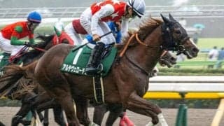 NHKマイルCの勝ち馬は外枠から探せ！ 今年の該当馬は？