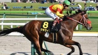 【日吉特別】兄姉にリアルスティール＆ラヴズオンリーユー 矢作芳人厩舎ゆかりの超良血が3勝目狙う