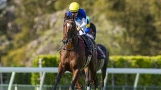 【NHKマイルC】アドマイヤズームは4枠8番