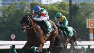 【ユニコーンS】吉村誠之助騎乗 カナルビーグルが圧勝で重賞初制覇