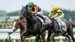 【NHKマイルC予想】3歳マイル王決定戦 スピードと瞬発力勝負を制すのは